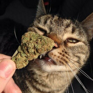 ГанджуБарсик;)