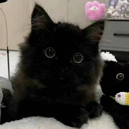 镜子里面是谁(Wiitm).