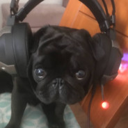 Katsu 勝つ Steam avatar