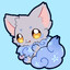 CloudyPoket