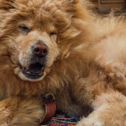 so i went to go visit my friend