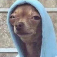 Прочно Лысый