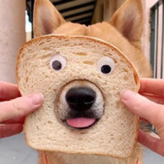 大清第一沙琪玛