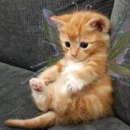 凌晨一點的鹹酥雞