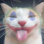 MEOW MEOW