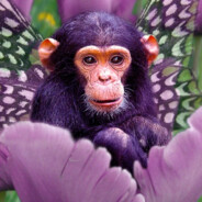 purple monkey