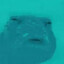 lödöツ