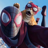 蜘蛛侠与他的猫