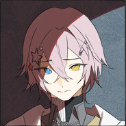 野生中华田园企鹅