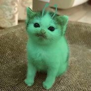 Avatar snapshot