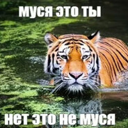 ебу глоткой (строго)