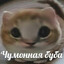 Тильтушка