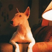 :D