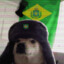 Rato