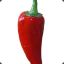 Hot pepper 고추