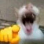 ꜱᴋᴏᴅᴀᴘᴇᴇᴋ cwel