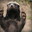 A Stimulated Badger
