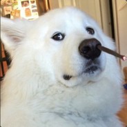 R.I.P