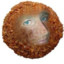 Scott chegg