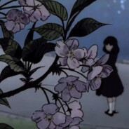 感觉樱岛里有麻衣在爬