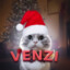 vvenzi