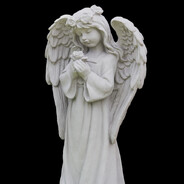 Dark Trap Mafia- - steam id 76561199799138908