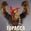 (salty)  Tupacca