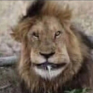 ВоZьми телефон