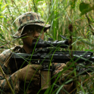 Jungle green - steam id 76561197965827827