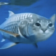 FISH THE UNBEATEN