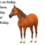 horse named friday