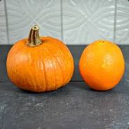 PumpkinOrange