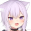 NaoQin