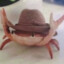 Cowboy Crab