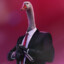 Mr.PigStashe