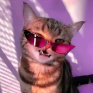 Pussy meow