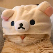 浪人の猫