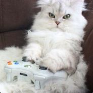 p1nky - steam id 76561197960809320
