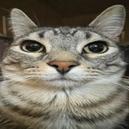 zar1p - steam id 76561198304695593