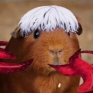 Глотаю за курседо