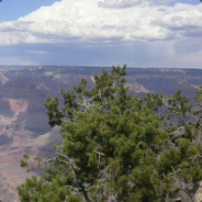 GrandCanyon - steam id 76561197970970158