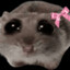 0ItMeLex0 TTV