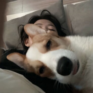 利威尔圈外女友