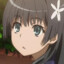 Gypsophila