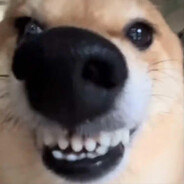 ตามใจหมวย