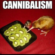 King KIWI (SigmaBird)