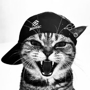 Wannabe