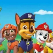 The Woof Team did a great job