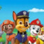 The Woof Team did a great job