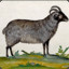 Three Horned Goat